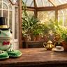 A Frog Wearing a Tiny Top Hat